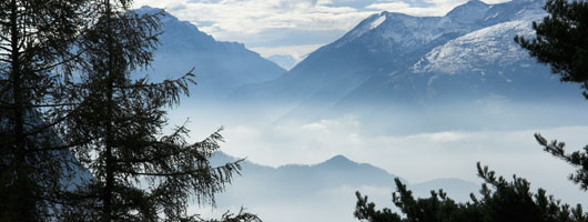 24小时呼叫轰炸神器